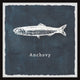 "Anchovy" Framed Painting Print, 24x24