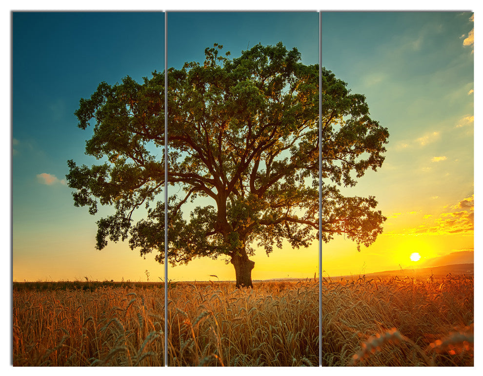 Big Green Tree in Summer Field, Trees Triptych Canvas Art Print, 36x28, 3 Panels