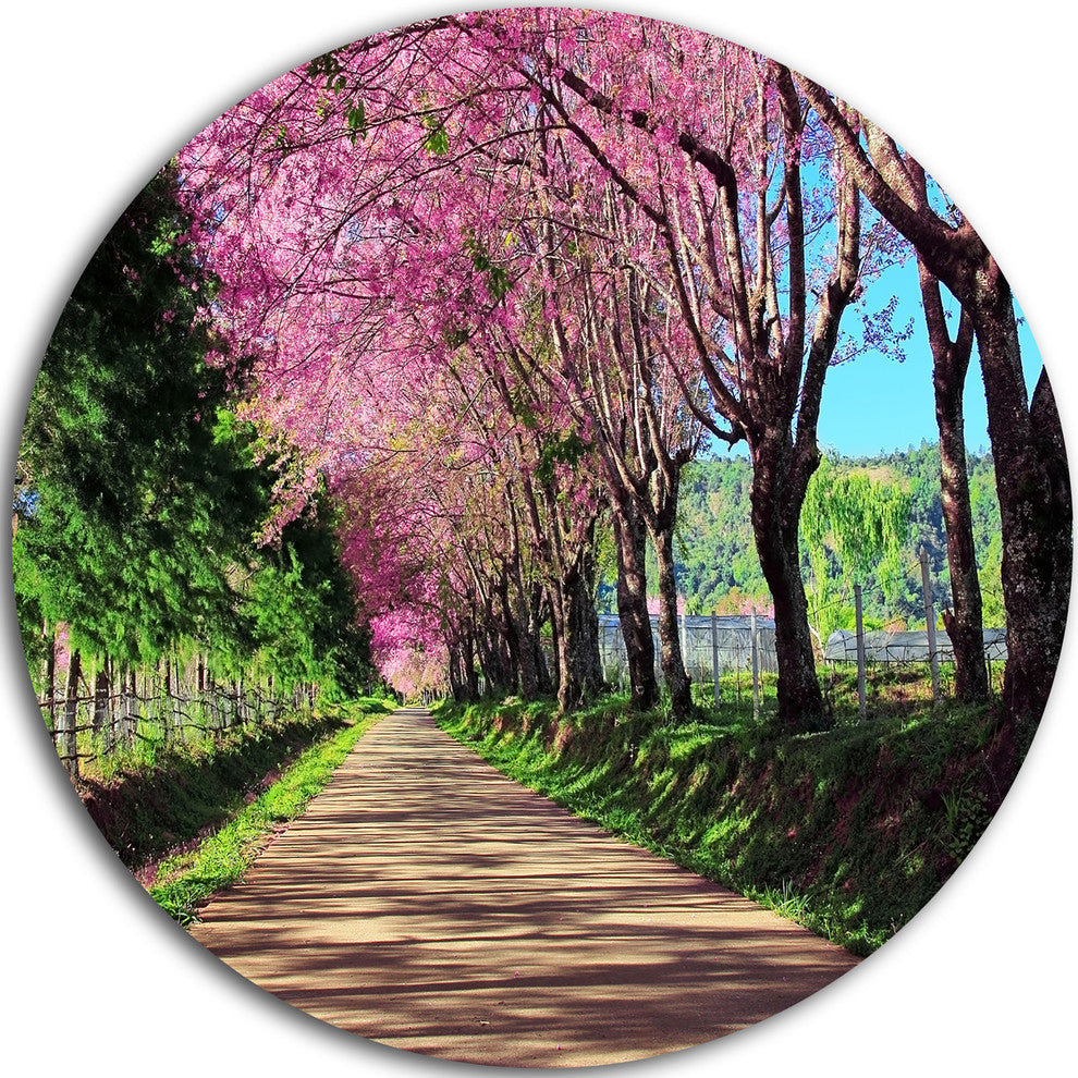 Cherry Blossom Pathway In Chiang Mai, Landscape Round Wall Art, 11"