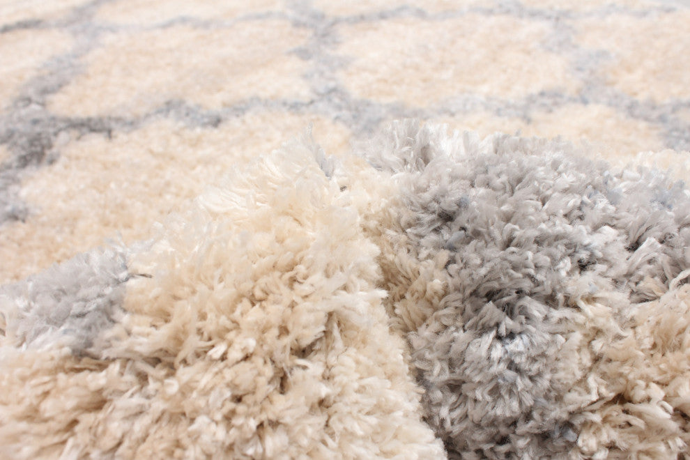 Moroccan Trellis Shag Rug