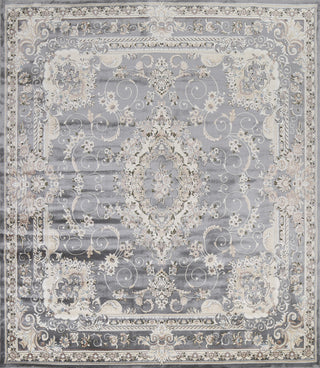 Grey Floral Medallion Transitional Turkish Rug Oriental Carpet 10x10