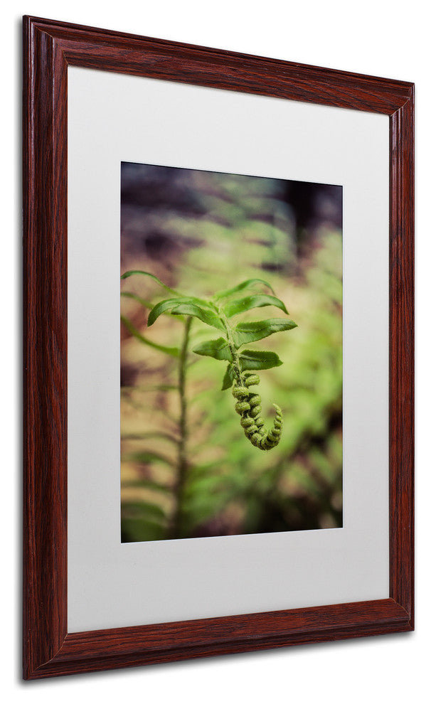 PIPA Fine Art 'Growth of the Forest Floor' Matted Framed Art, 20x16