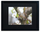 'Before Bloom' Matted Framed Canvas Art by Monica Mize