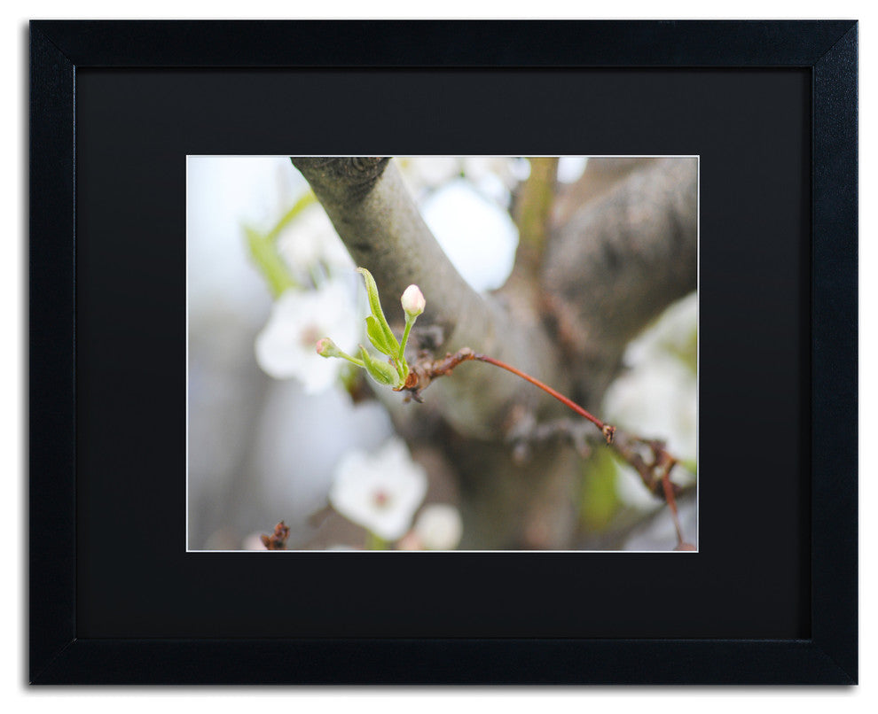 'Before Bloom' Matted Framed Canvas Art by Monica Mize