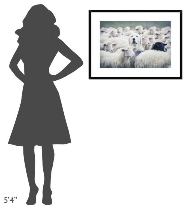"In Disguise" Framed Digital Print by Adrian Popan, 32x24"