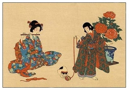 Flute and Cat- Gallery Wrapped Canvas Art 28" x 42"