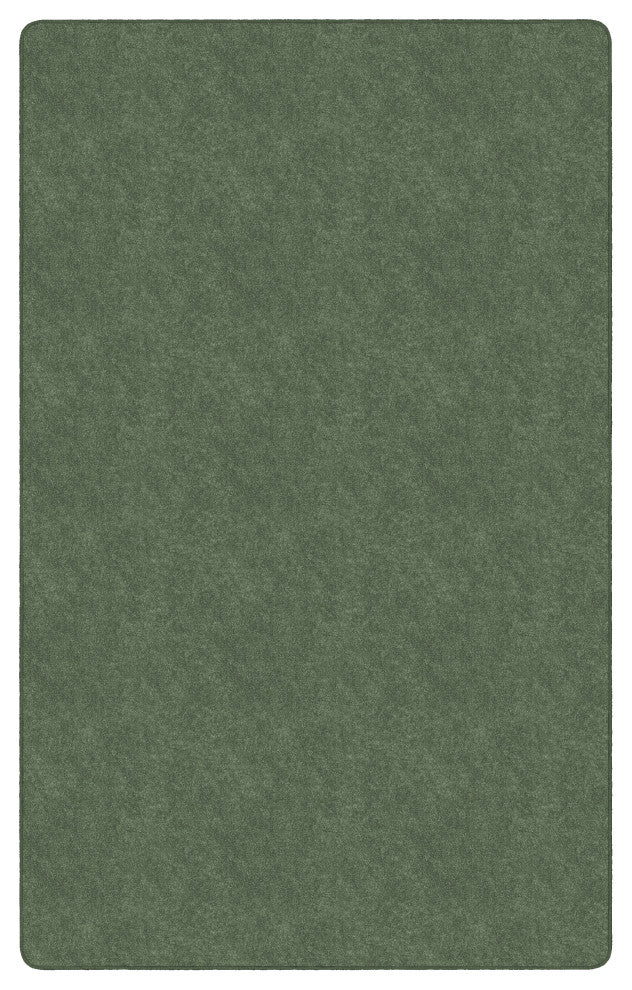 Flagship Carpets TS-34SG Amerisoft Sage Green