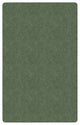 Flagship Carpets TS-34SG Amerisoft Sage Green