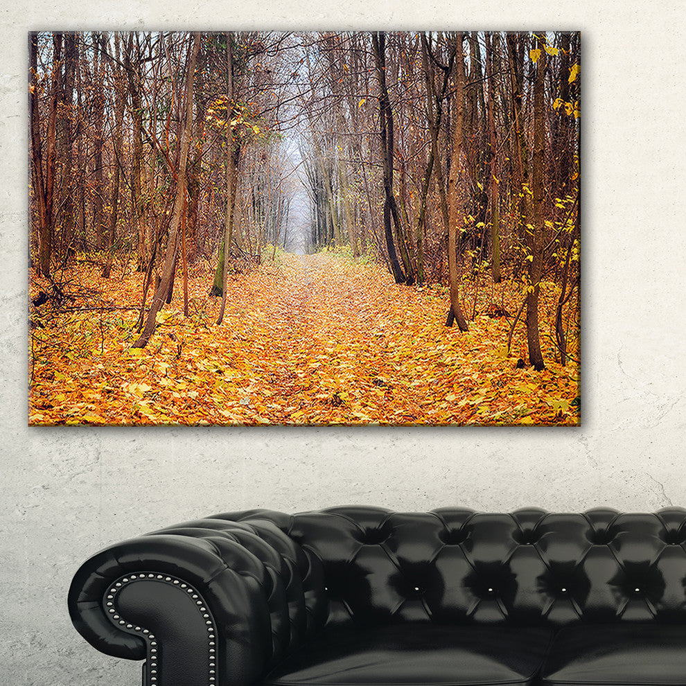 "Yellow Fallen Leaves in Morning" Landscape Photo Wall Art, 32"x16"