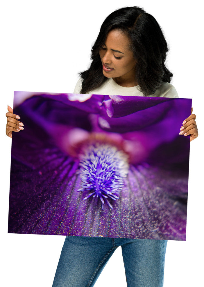 Eye of Iris Nature Photography, Floral Unframed Wall Art Print, 16" X 20"