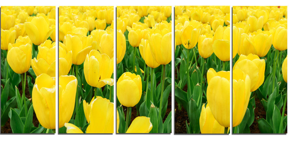 Bright Tulip Flowers in Garden, Floral Canvas Art Print, 60"x28", 5 Panels