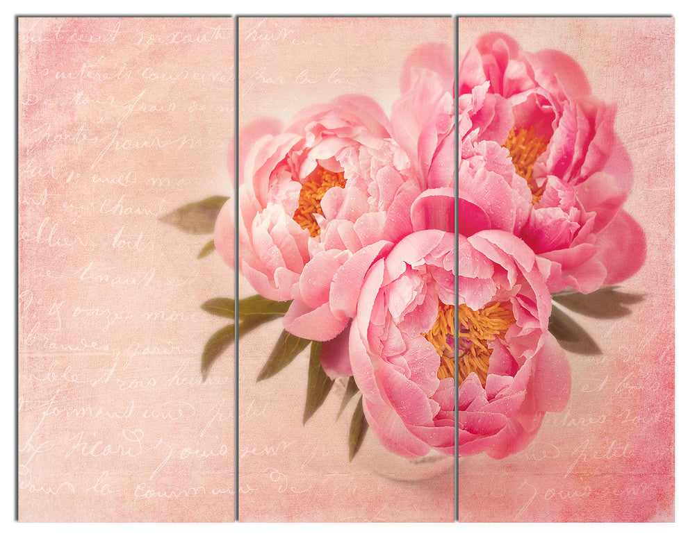 Peony Flowers against Scribbled Back, Floral Canvas Art Print, 36x28, 3 Panels