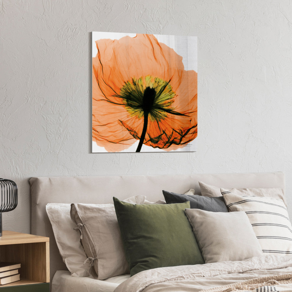"Poppy Orange" Frameless Free Floating Panel Graphic Wall Art, 24"x24"