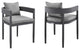 Argiope Outdoor Patio Dining Chairs in Aluminum with Grey Cushions - Set of 2