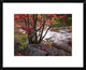 The Swift River, White Mountains National Forest, New Hampshire, 22"x18"