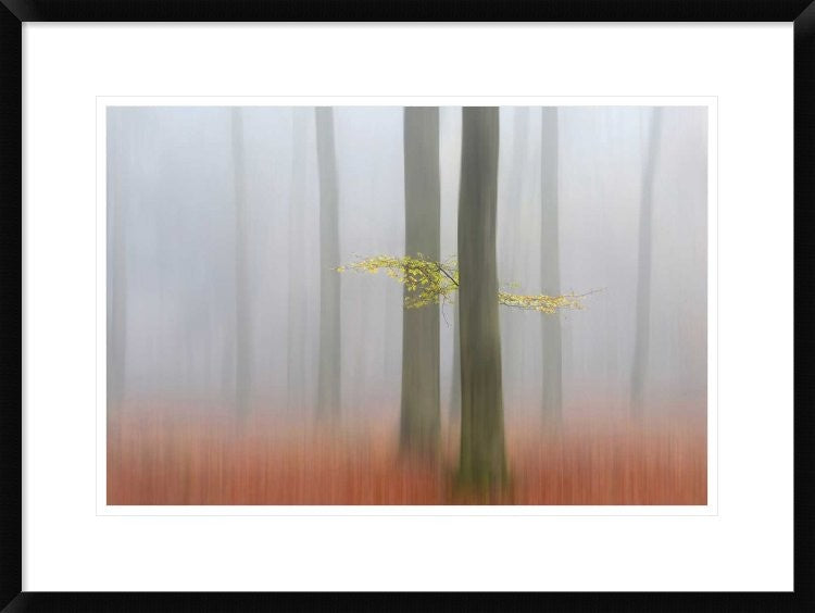 "Autumnmorning" Framed Digital Print by Huib Limberg, 30x22"