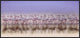 "Comrades In Color" Framed Canvas Giclee by Ahmed Thabet, 41x19"