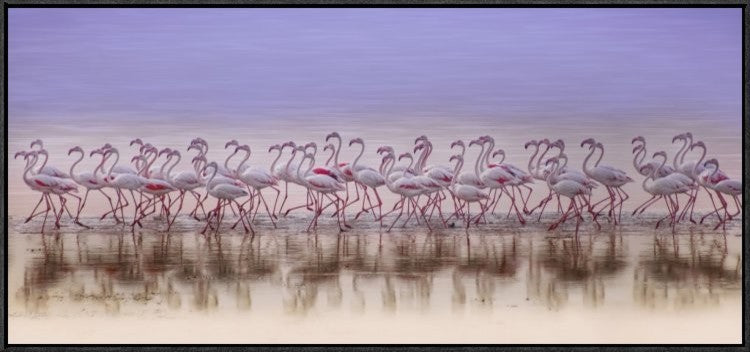 "Comrades In Color" Framed Canvas Giclee by Ahmed Thabet, 41x19"