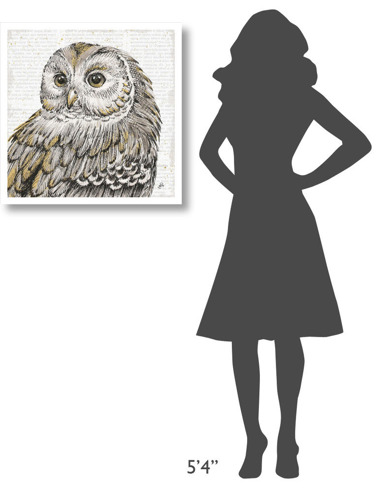"Beautiful Owls I" Digital Paper Print by Daphne Brissonnet, 26"x26"