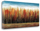 "Deep Forest" By Stephane Fontaine, Giclee Print on Gallery Wrap Canvas