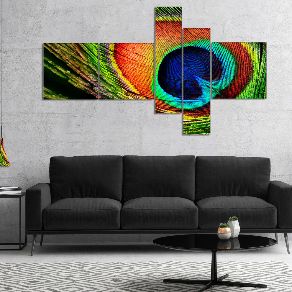 Peacock Feather, Photography Canvas Art Print, 60"x32", 5 panels