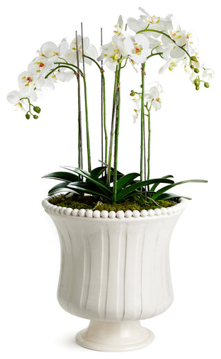 Coletta Grande Flared Vase