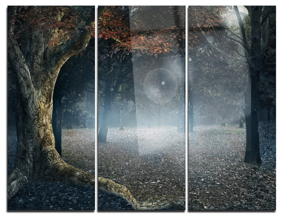 "Big Trees in Dark Foggy Forest" Photo Metal Wall Art, 3 Panels, 36"x28"