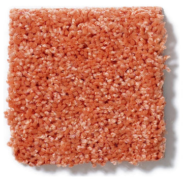 Shaw Carpet Kids Crossing, Tangerine Twist, 12''x16''