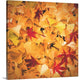 "Fall Range" Wrapped Canvas Art Print, 20"x20"x1.5"