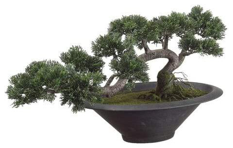Silk Plants Direct Cedar Bonsai Tree - Green - Pack of 1