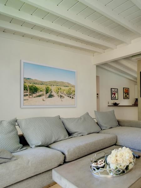 "Vineyard" Framed Painting Print, 30"x20"