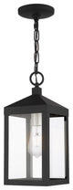 Livex Nyack 1 Light Black/Brushed Nickel Cluster Small Outdoor Pendant Lantern