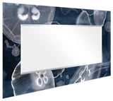 Jellies Rectangular Beveled Mirror on Free Floating Printed Tempered Art Glass