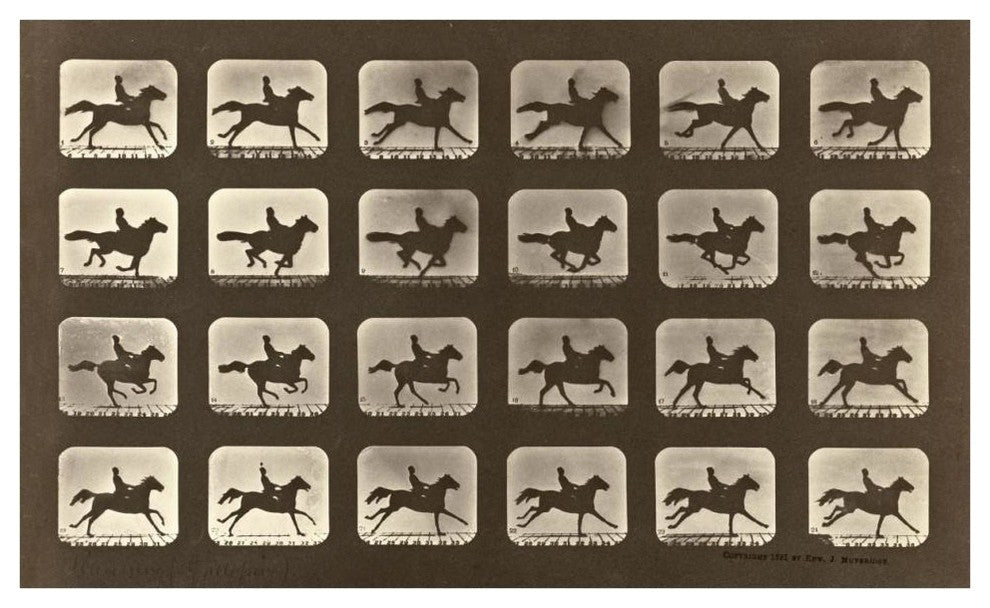 "Motion Study: Man Riding A Galloping Horse" Paper Art, 42"x26"