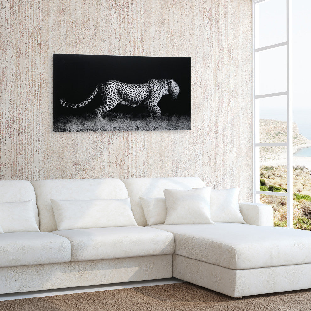 Fearless 1 Frameless Free Floating Tempered Art Glass Wall Art, 24"x 48"