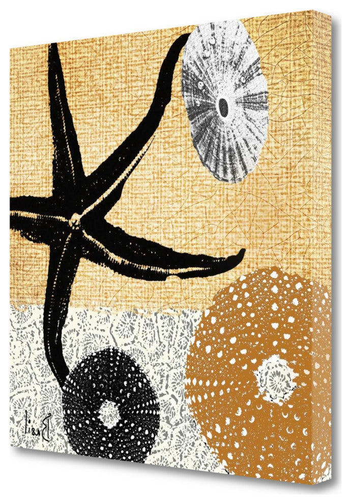 22" Golden Seashell Treasures  Giclee Wrap Canvas Wall Art