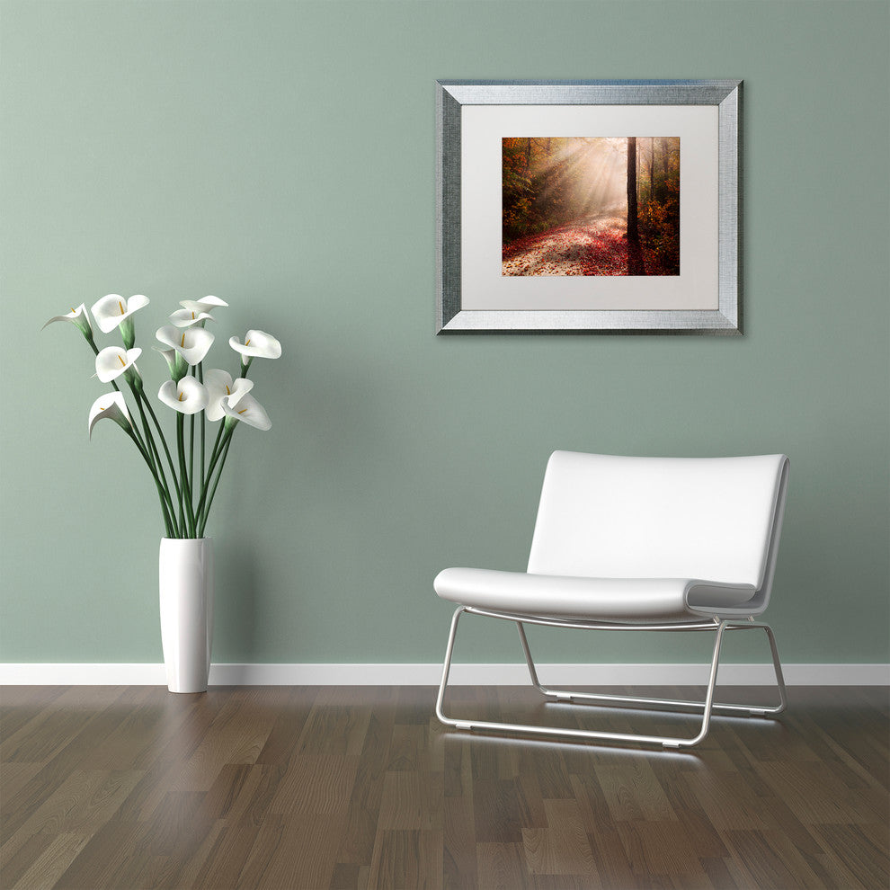 Michael Blanchette Photography 'Light in the Forest' Matted Framed Art, 20x16