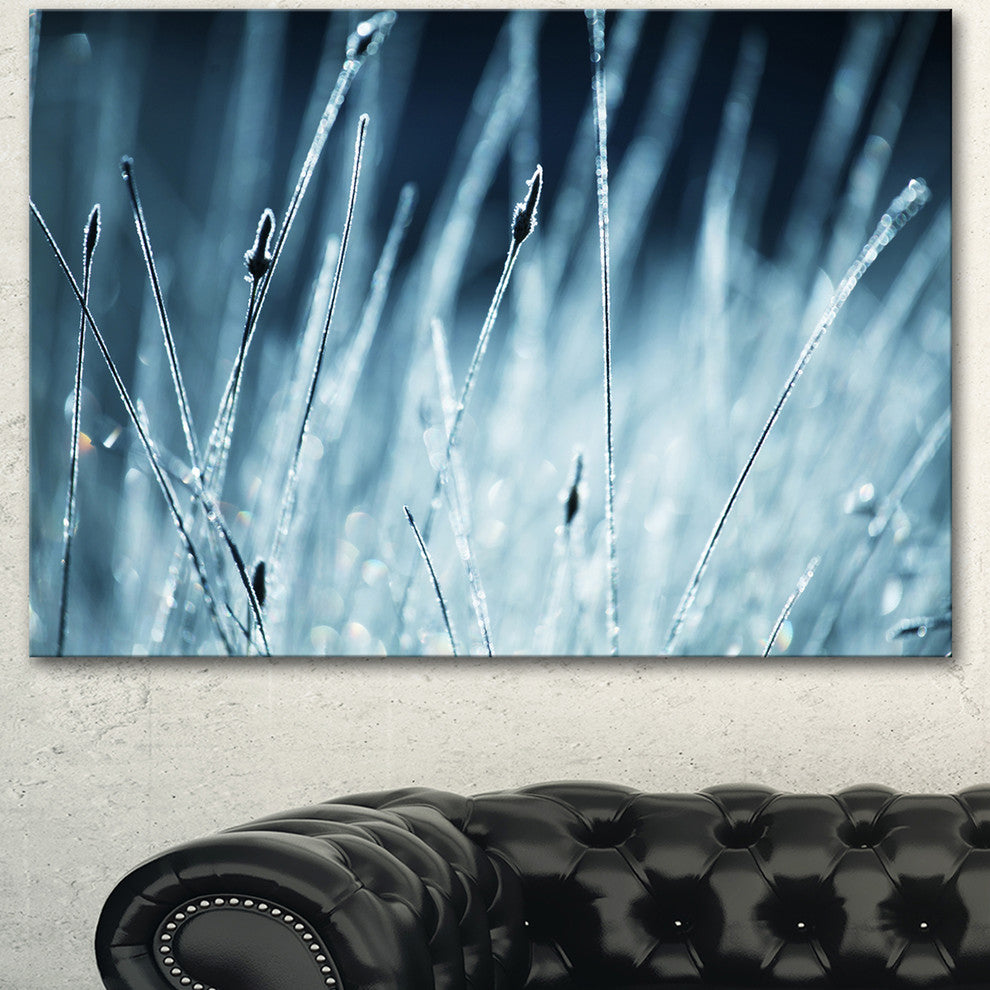 Wet Grass Black and White, Floral Canvas Art Print, 40"x30"