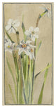 "White Narcissus with Gray Accents" Print by Hannah Borger Overbeck, 20"x38"