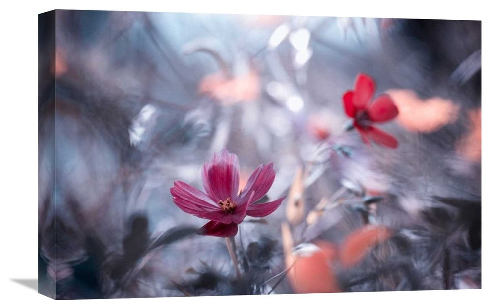 "Une Autre Fleur, Une Autre Histoire" Canvas by Fabien Bravin, 22x15"