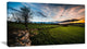 Beautiful Green Meadow in Sardinia, Landscape Canvas Art Print, 32"x16"