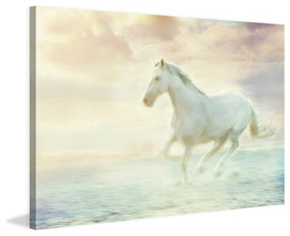 "Galloping Through the Water" Painting Print on Canvas