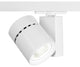 Exterminator II LED Track Head, White