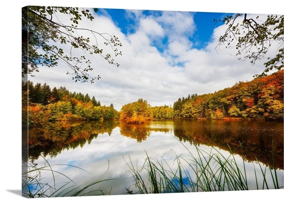 "Natural Light" Wrapped Canvas Art Print, 24"x16"x1.5"