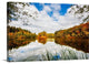 "Natural Light" Wrapped Canvas Art Print, 24"x16"x1.5"