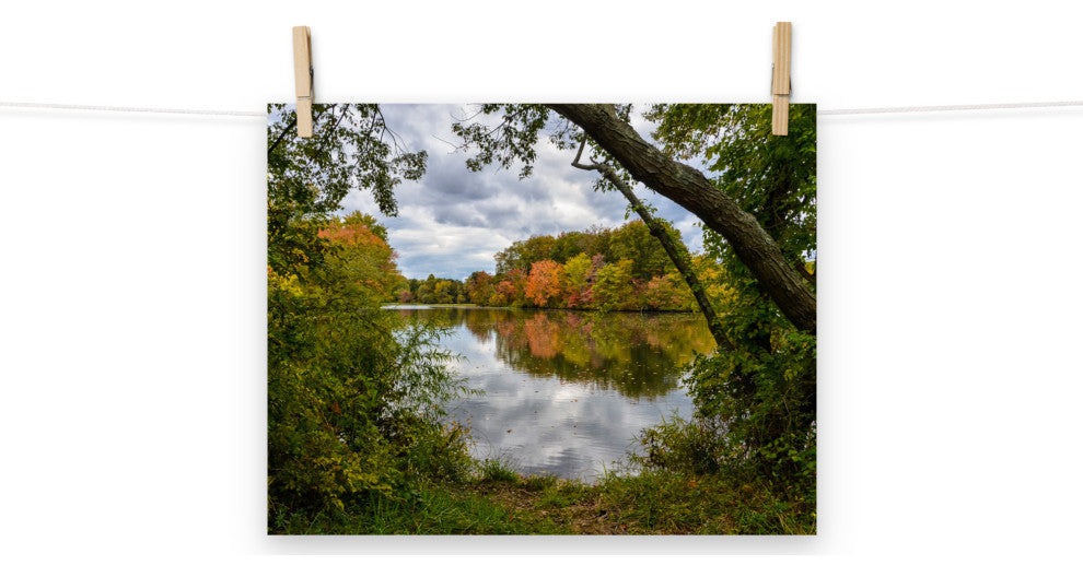 Lost in Autumn Color Landscape Photo, Rural Unframed Wall Art Print, 11" X 14"