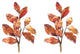 Metallic Harvest Leaf Spray, Set of 2