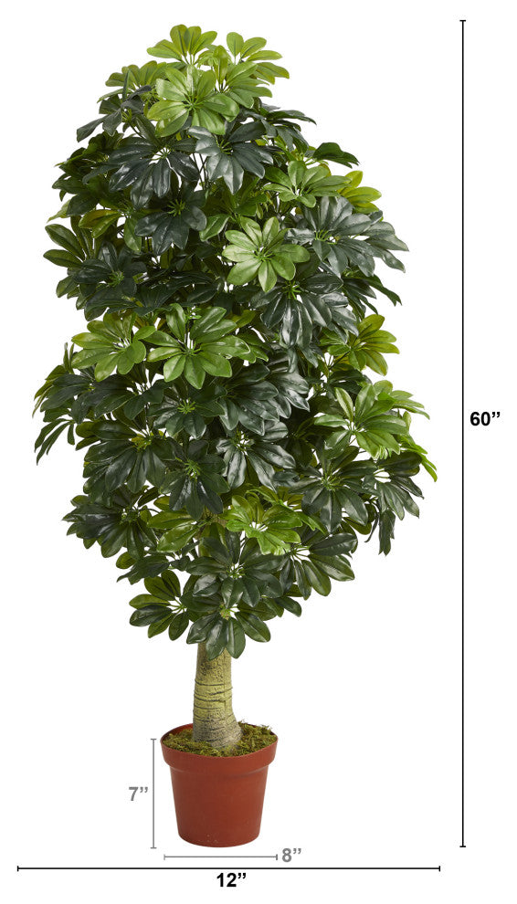 5' Schefflera Artificial Tree, Real Touch