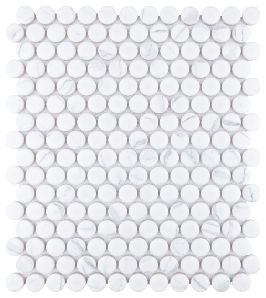 Carrione Penny Matte Carrara Porcelain Floor and Wall Tile