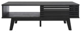 Safavieh Rori 2 Door Coffee Table, Black